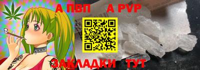 спиды Кингисепп