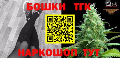 спиды Кингисепп