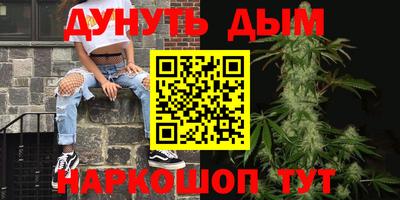 спиды Кингисепп