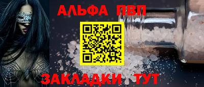 спиды Кингисепп