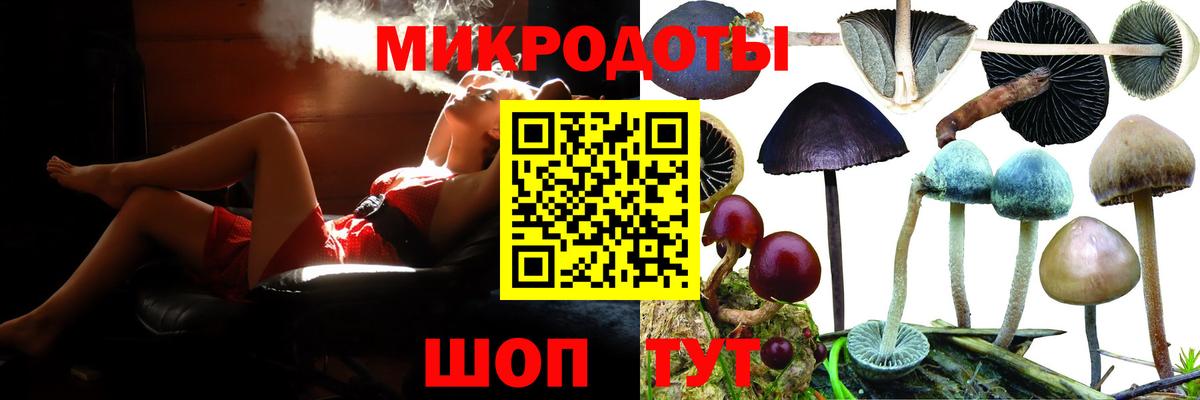 Коряжма  Галлюциногенные грибы мухоморы  Вход с VPN 